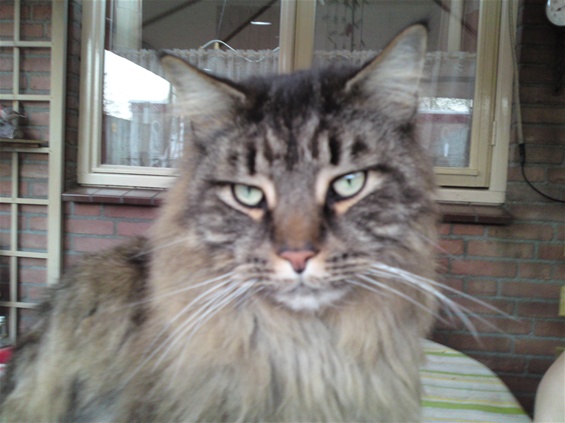 Op zoek naar de gedumpte Karel.