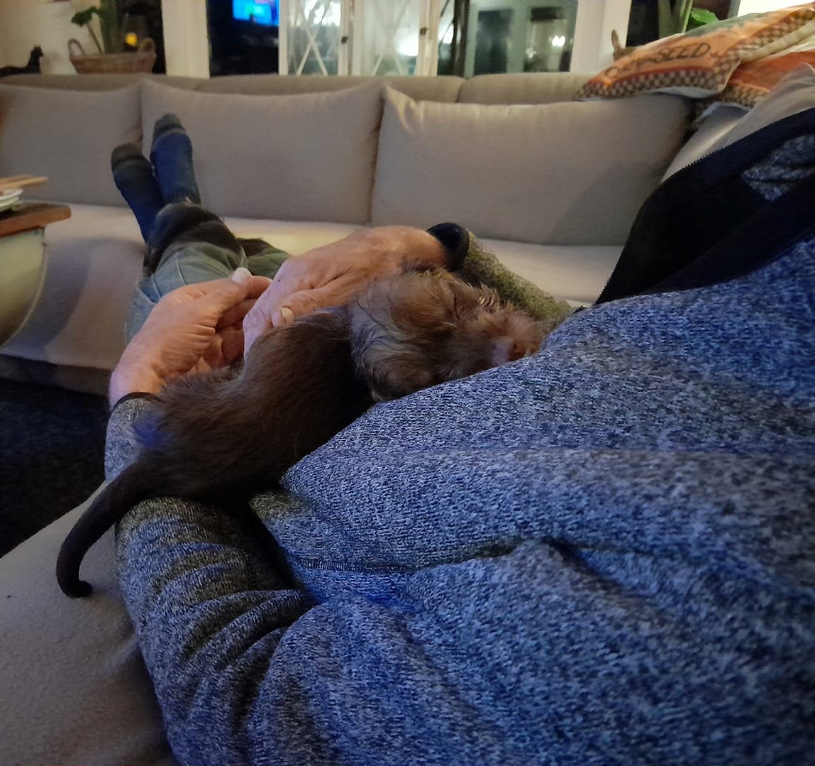Hummeltje overleden