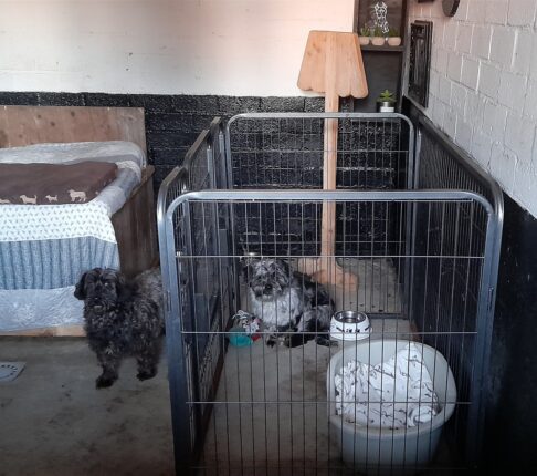 Ik weet nog niet hoe..