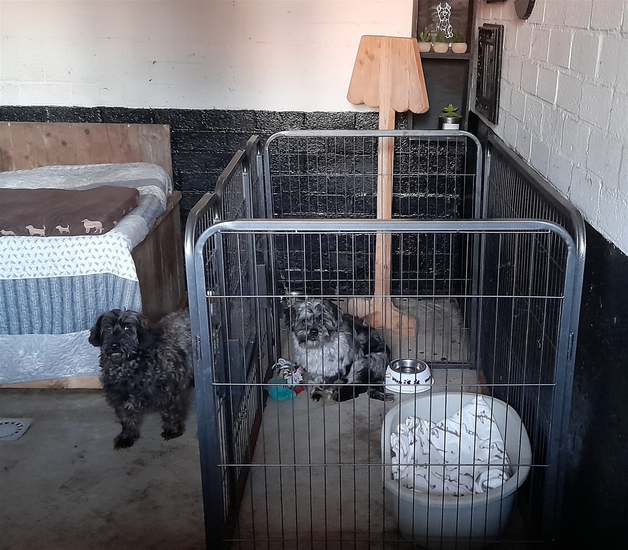 Ik weet nog niet hoe..