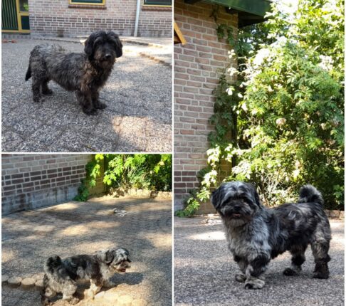 Voor het eerst buiten..