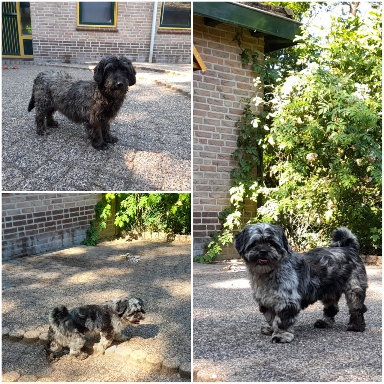 Voor het eerst buiten..