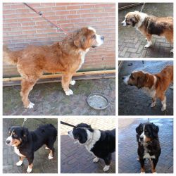 Hoe was het deze week….