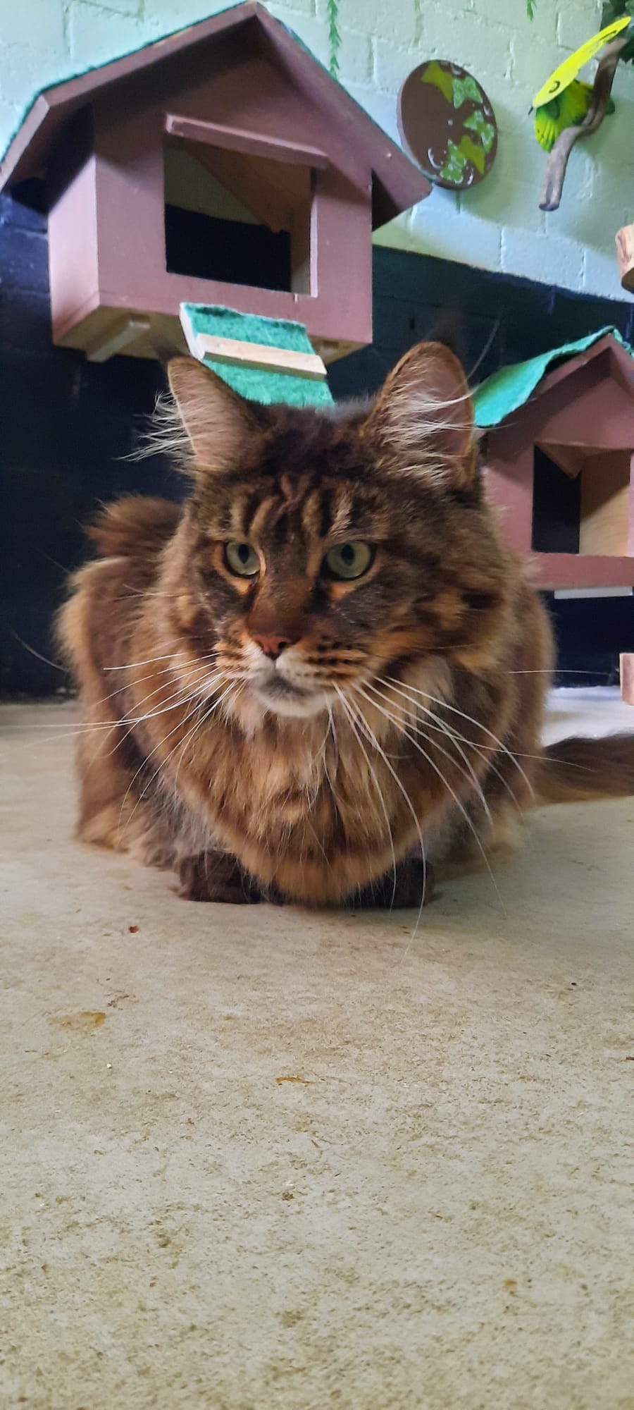 Delilah