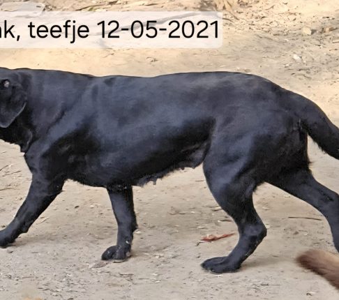 Doerak