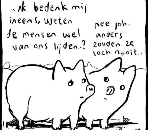 Anders zouden ze toch nooit..