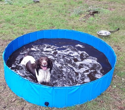 Genieten en kijk dat koppie